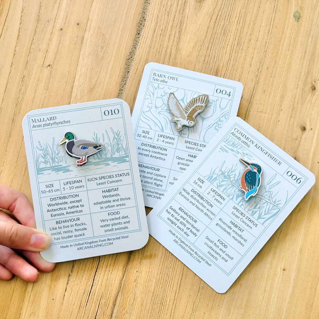Bird Life Pin Biodiversity Badge Set