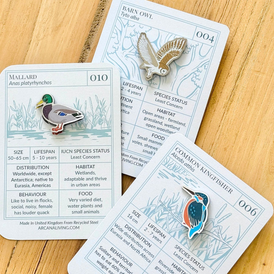 Bird Life Pin Biodiversity Badge Set