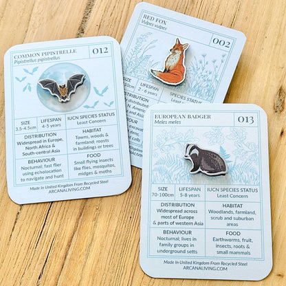 Nocturnal Nature  Pin Biodiversity Badge Set