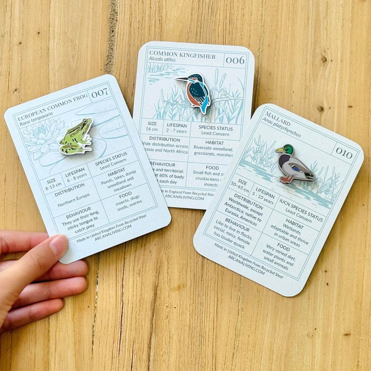 Pond Life Pin Biodiversity Badge Set
