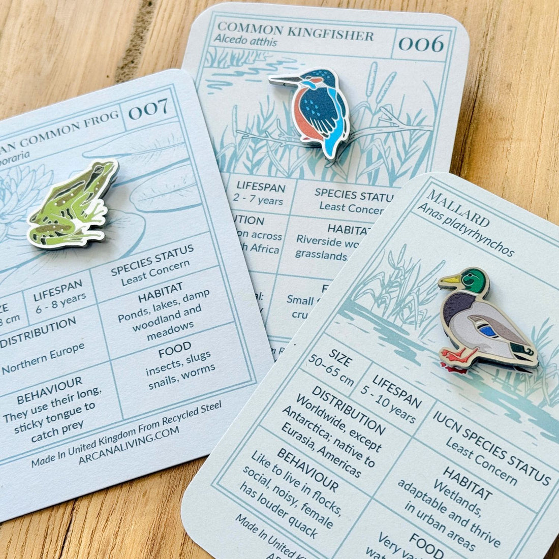Pond Life Pin Biodiversity Badge Set