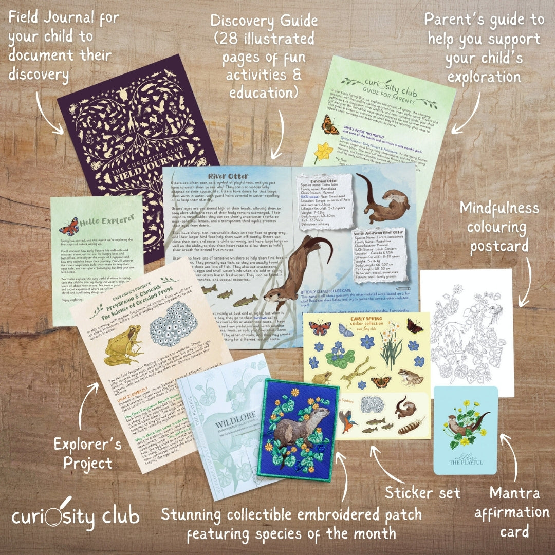 ‘The Great Awakening’ Box (Early Spring) - Curiosity Club