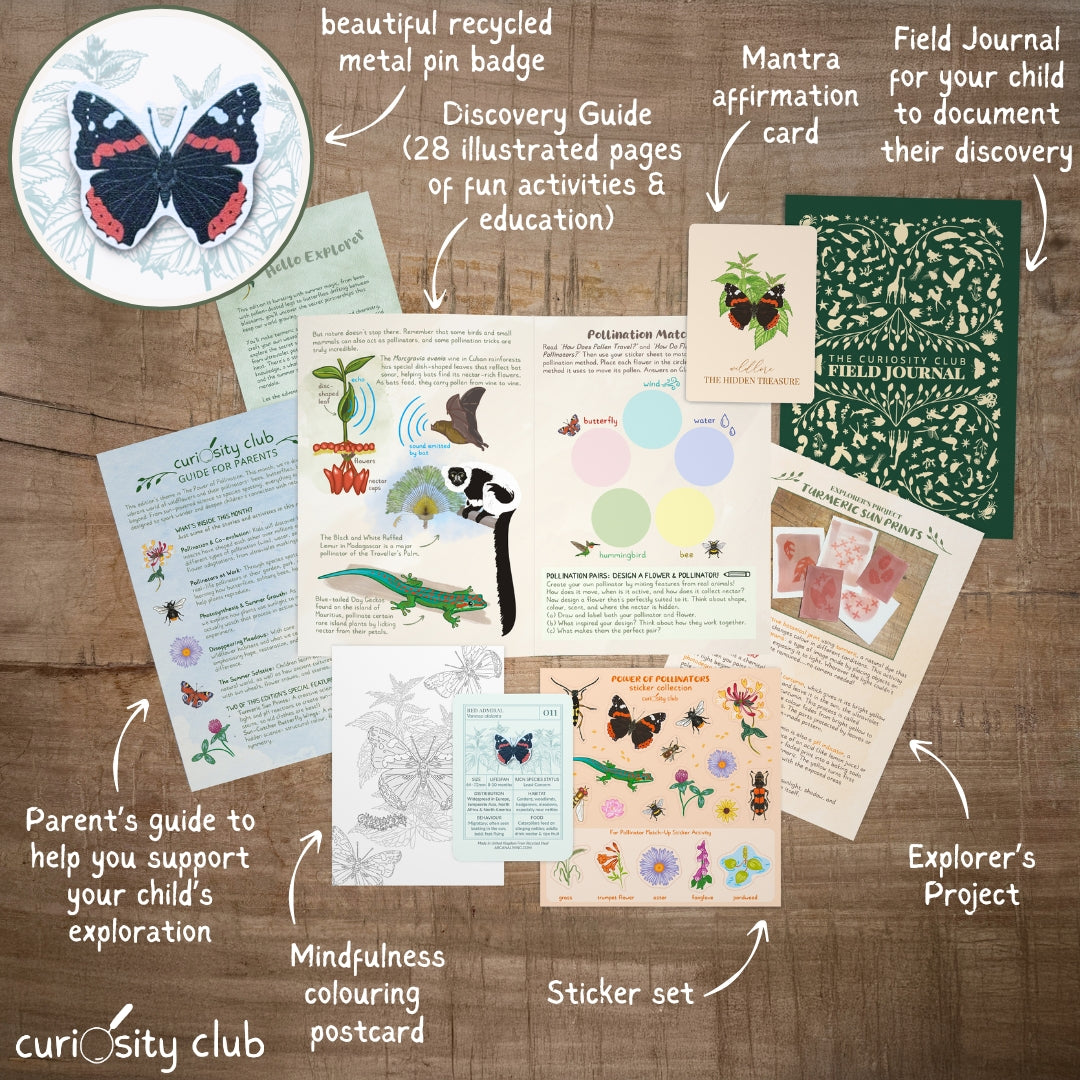 ‘Power Of Pollination’ Box (Year 1) - Curiosity Club
