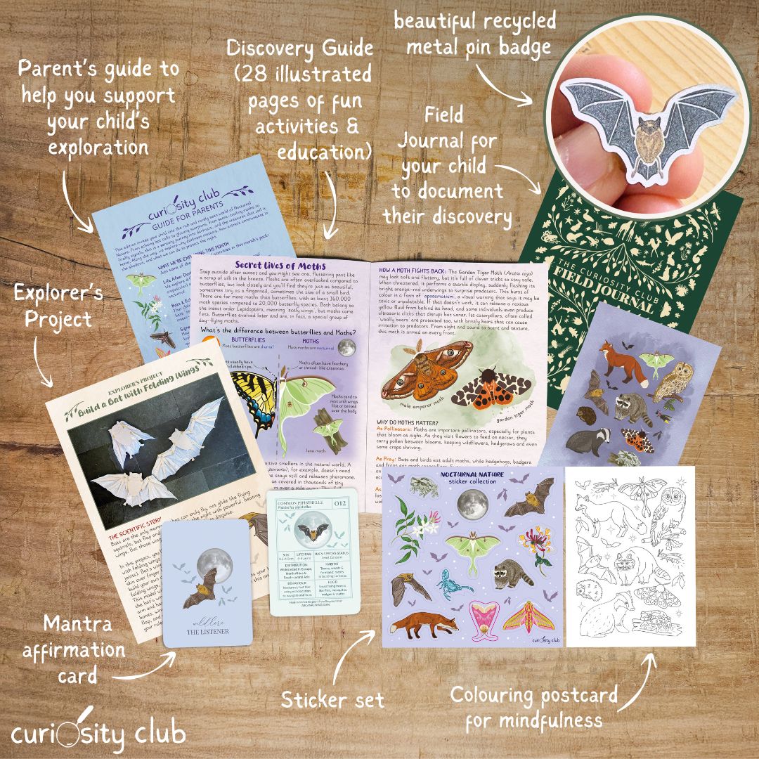 ‘Nocturnal Nature’ Box (Late Summer) - Curiosity Club