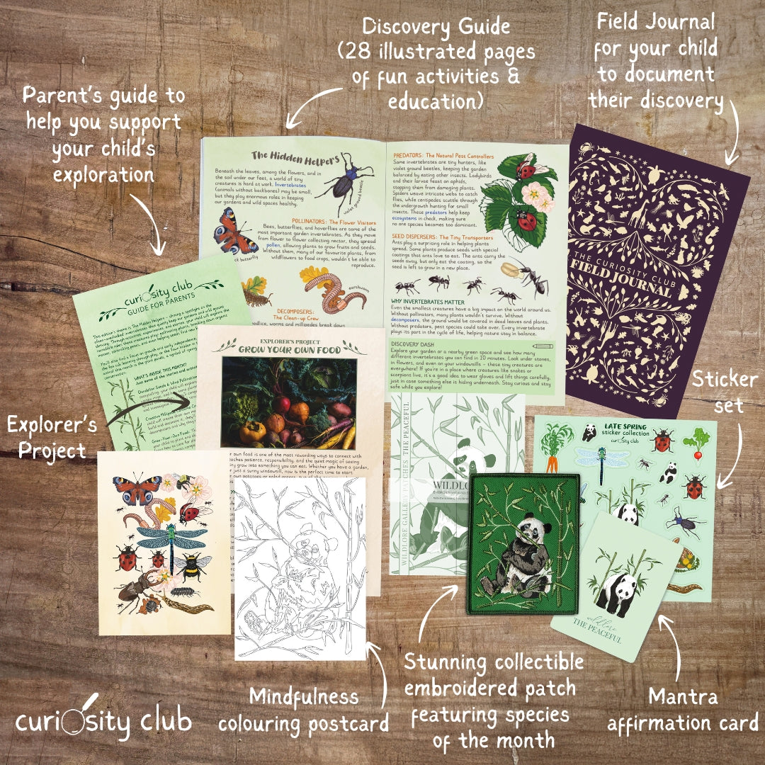 ‘The Hidden Helpers’ Box (Late Spring) - Curiosity Club