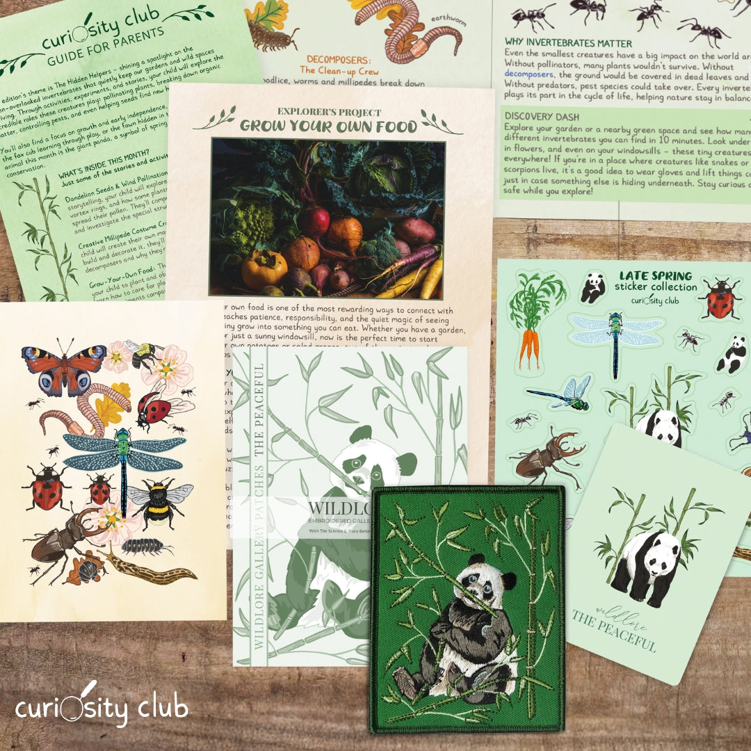 ‘The Hidden Helpers’ Box (Late Spring) - Curiosity Club