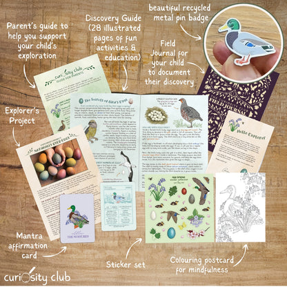 Mid Spring Box - Curiosity Club