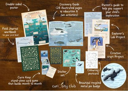 ‘Frozen Frontiers’ - Curiosity Club (Year 2)