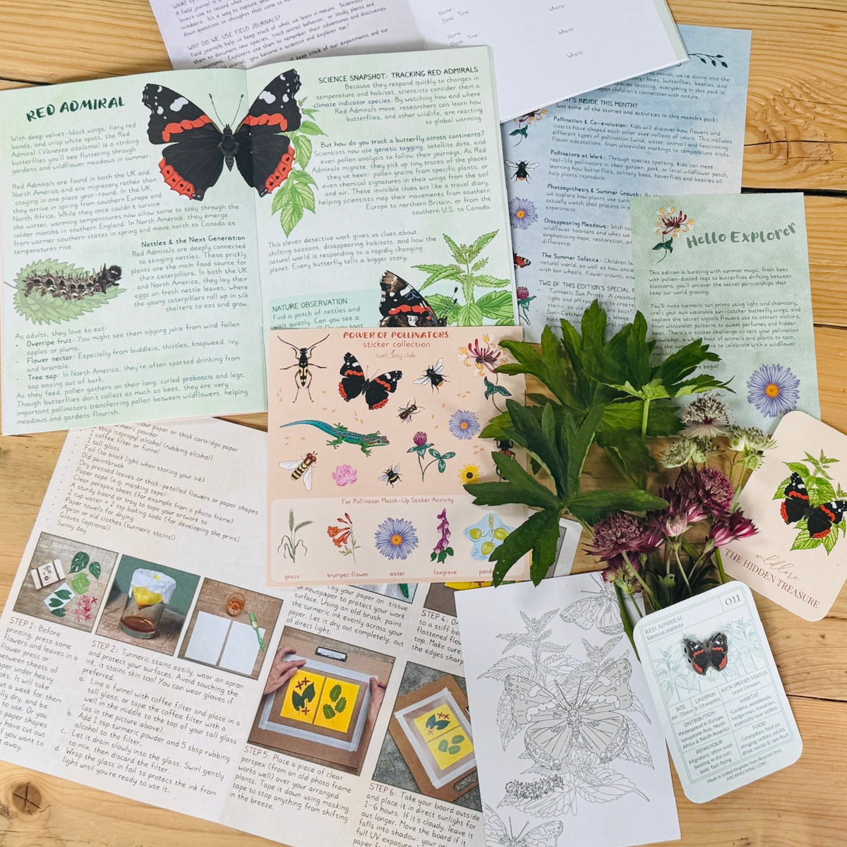 ‘Power Of Pollination’ Box (Year 1) - Curiosity Club