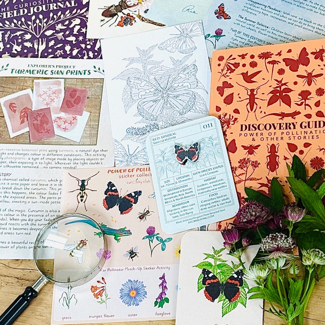 ‘Power Of Pollination’ Box (Year 1) - Curiosity Club