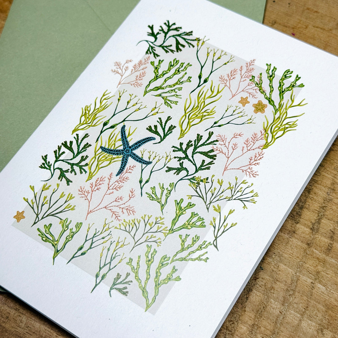 Intertidal Ocean Greetings Card Set