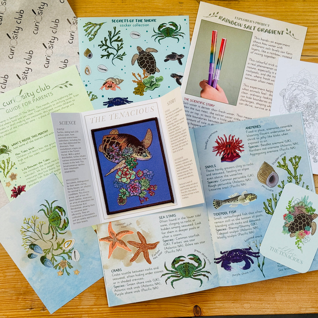 ‘Secrets of the Shore’ Box (Mid Summer) - Curiosity Club