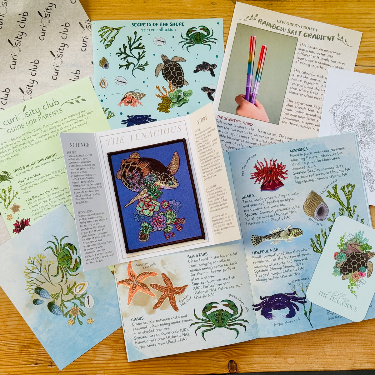 ‘Secrets of the Shore’ Box (Year 1) - Curiosity Club