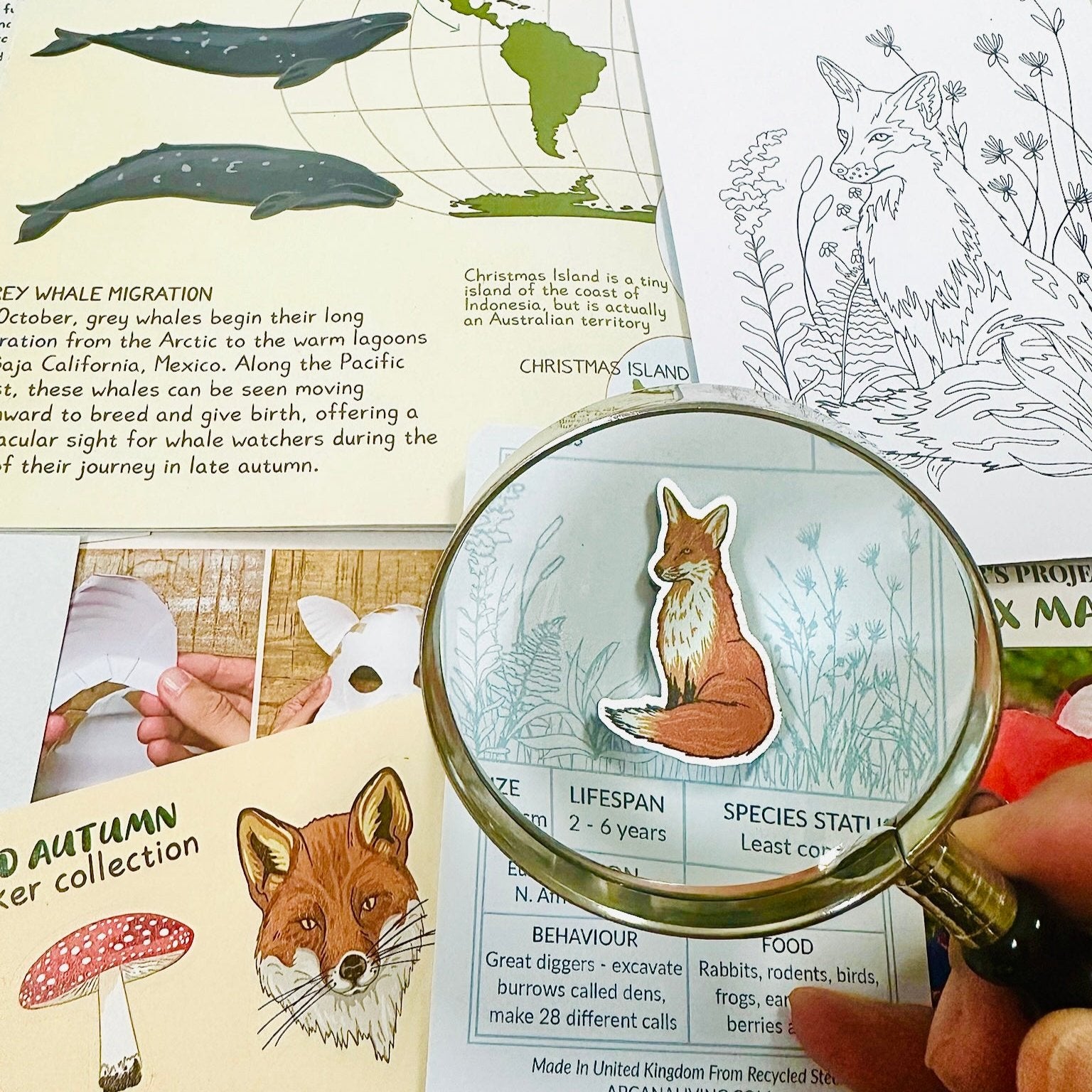 Mid Autumn Box - Curiosity Club