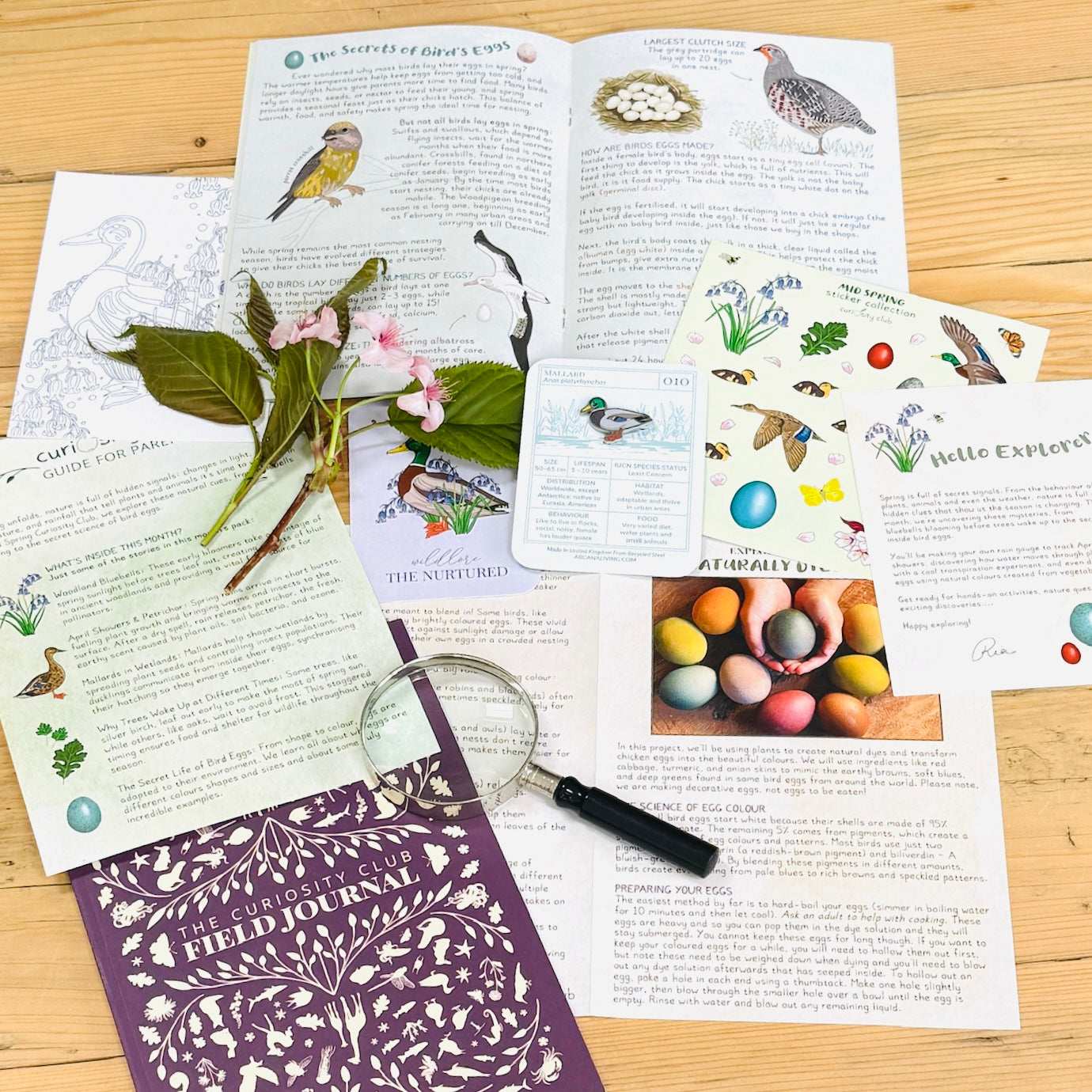 Mid Spring Box - Curiosity Club