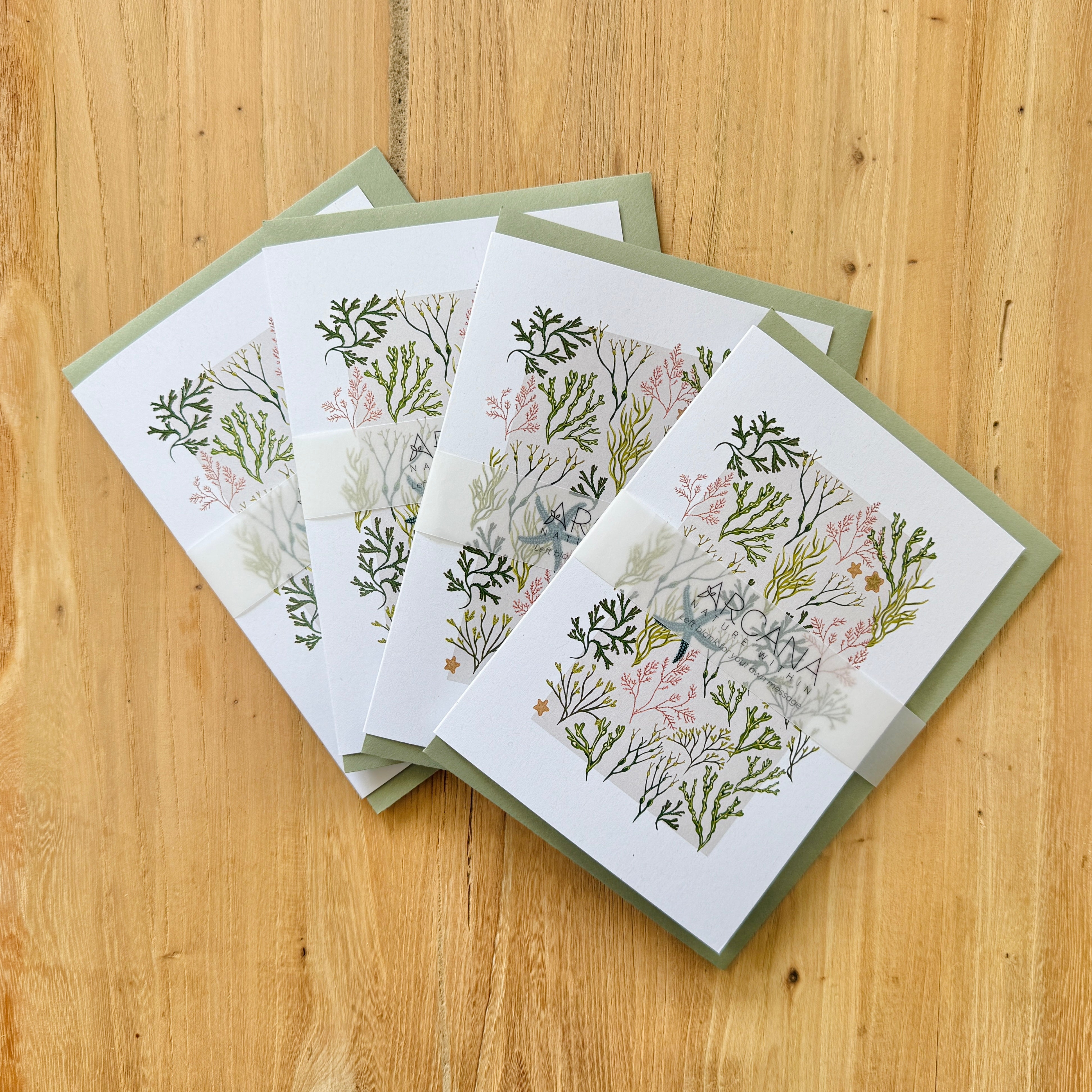 Intertidal Ocean Greetings Card Set – Arcana