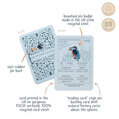 Bird Life Pin Biodiversity Badge Set