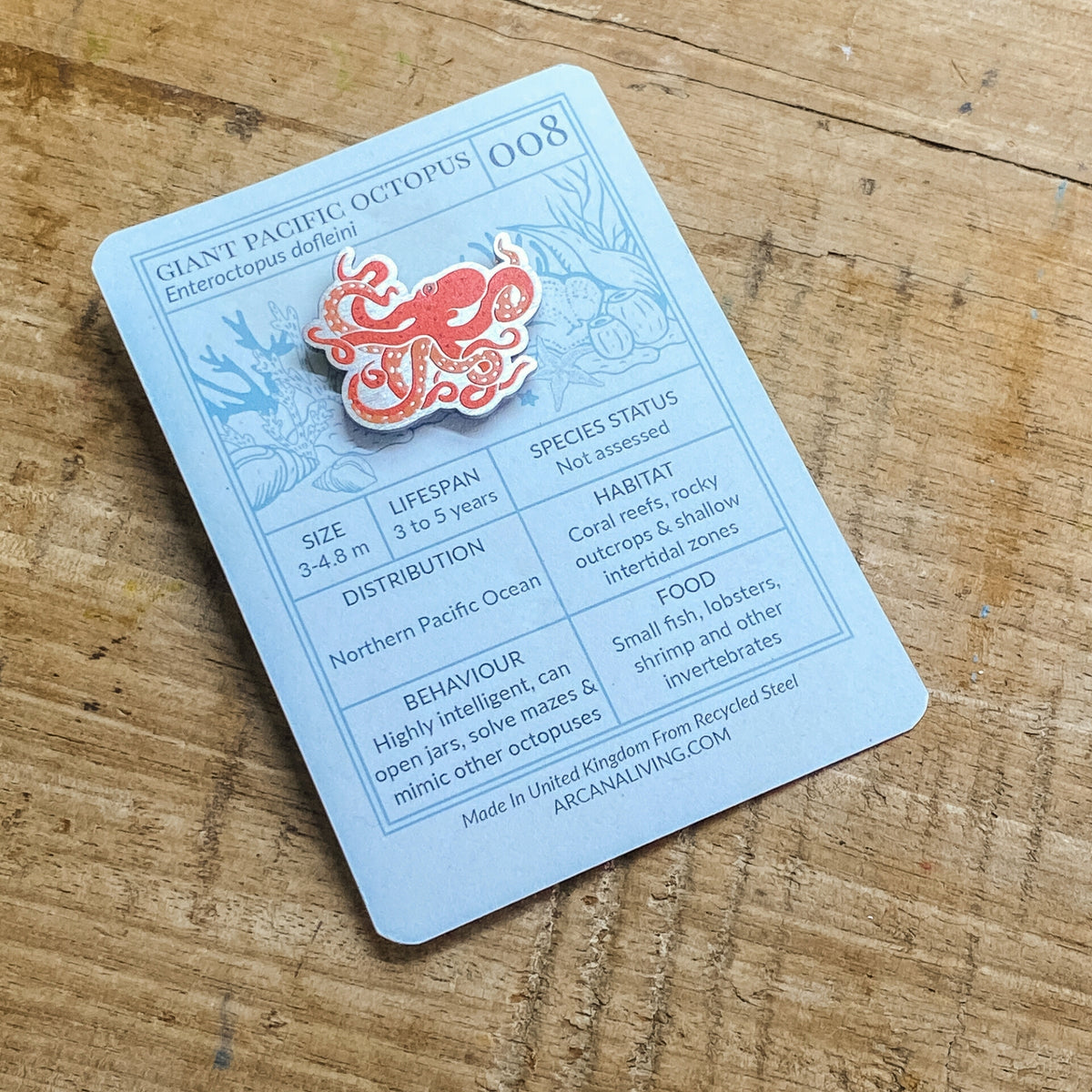 Giant Pacific Octopus Biodiversity Badge