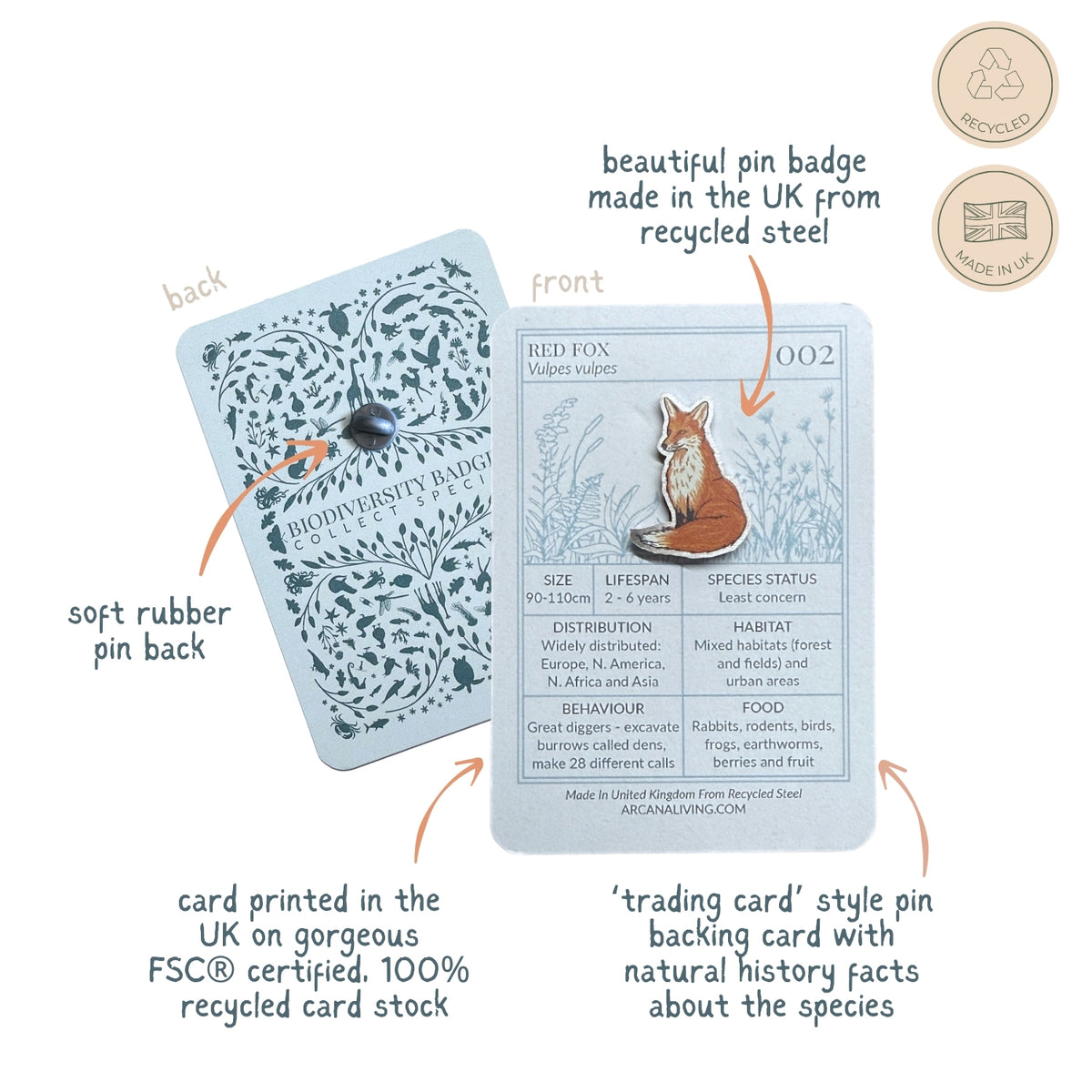 Nocturnal Nature  Pin Biodiversity Badge Set