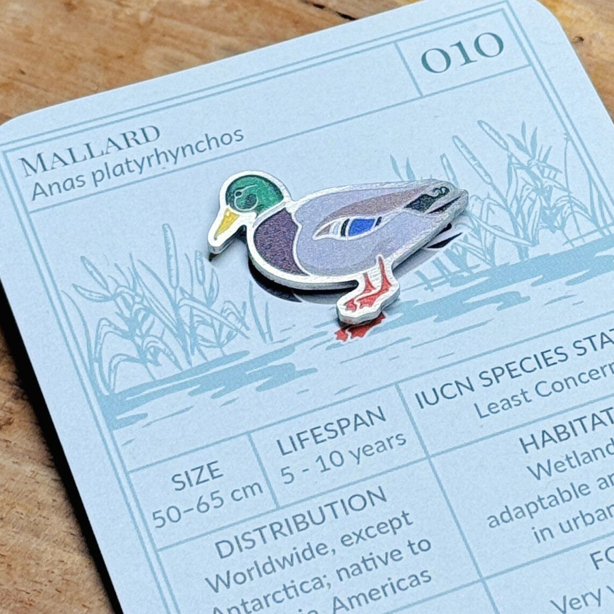 Bird Life Pin Biodiversity Badge Set