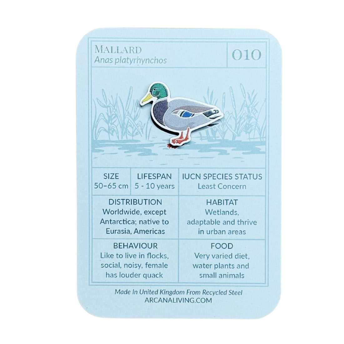 Mallard Duck Biodiversity Badge
