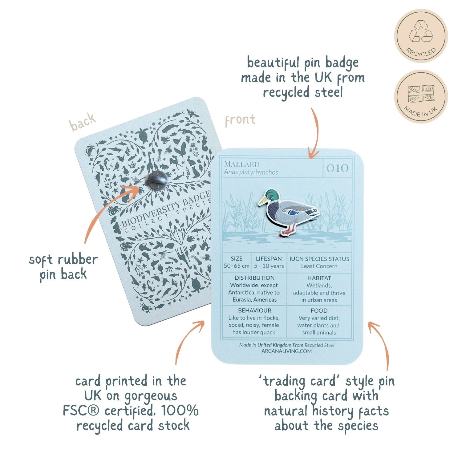 Mallard Duck Biodiversity Badge