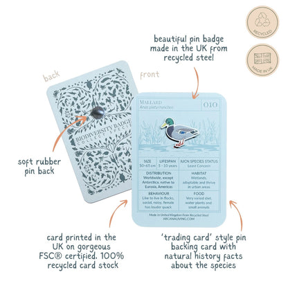Mallard Duck Biodiversity Badge
