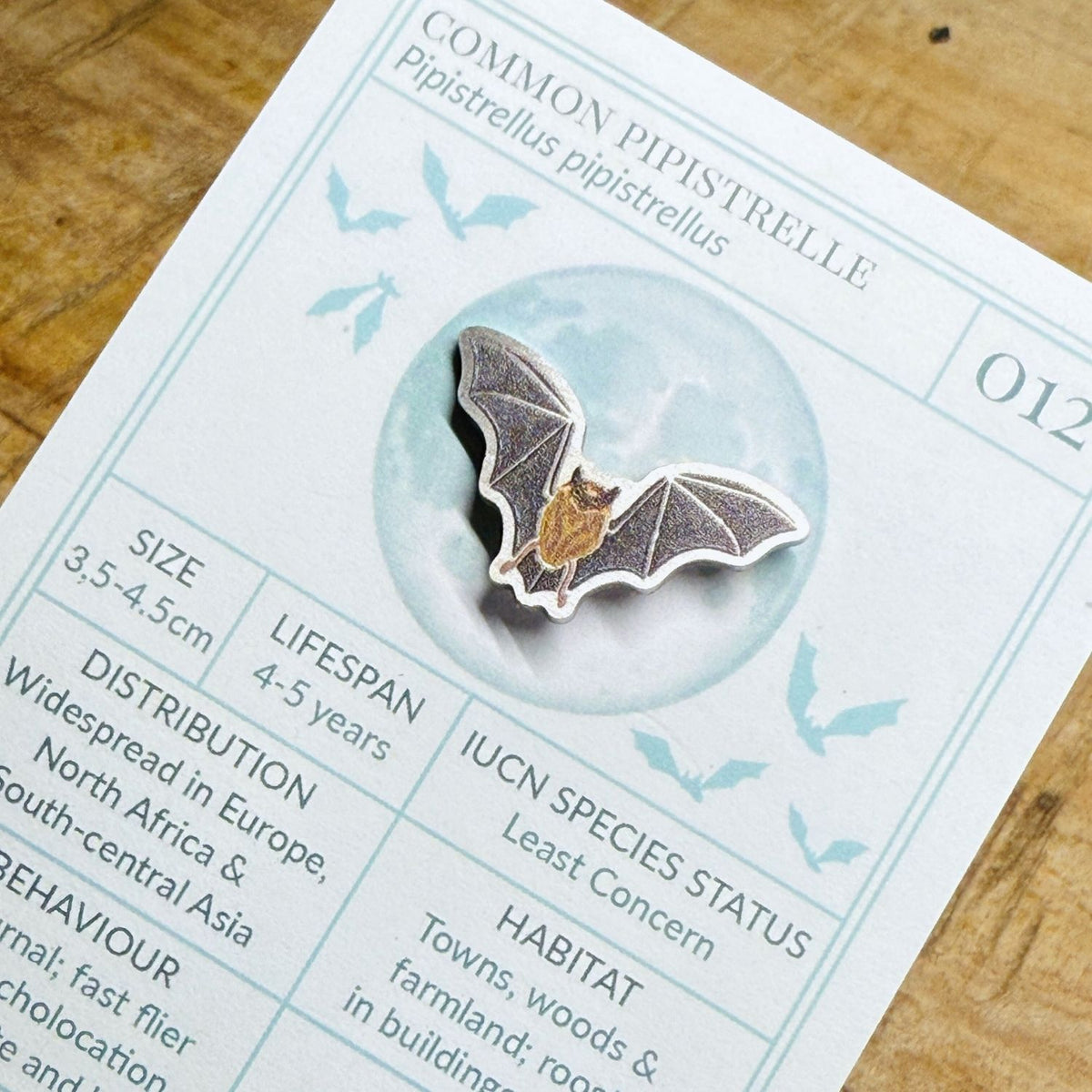 Common Pipestrelle Bat Biodiversity Badge