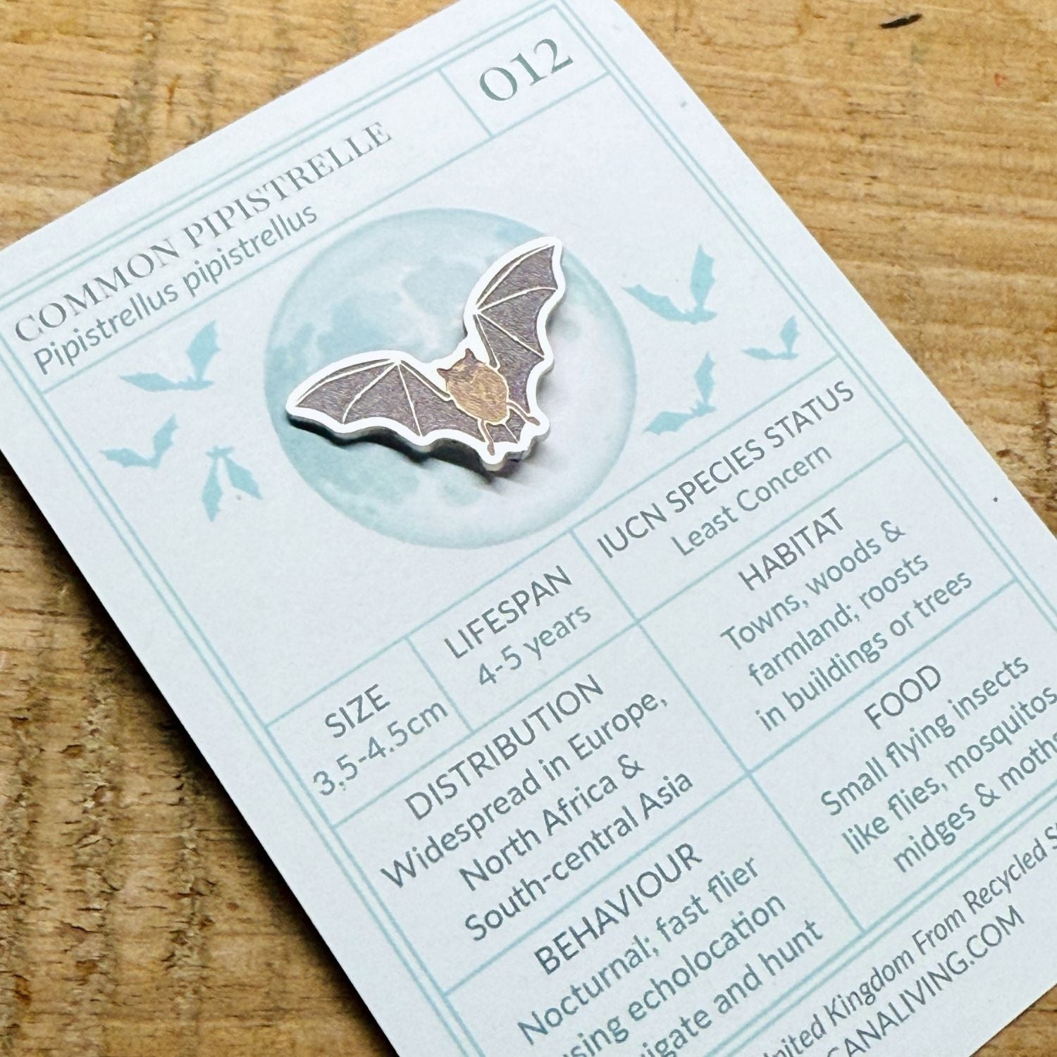 Common Pipestrelle Bat Biodiversity Badge