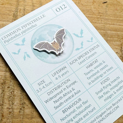 Common Pipestrelle Bat Biodiversity Badge