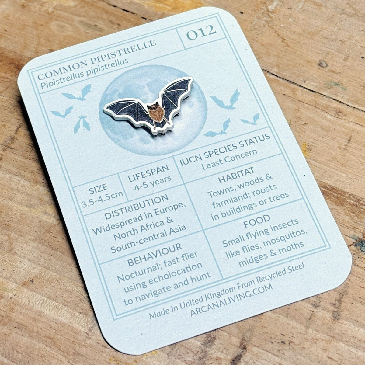 Nocturnal Nature  Pin Biodiversity Badge Set