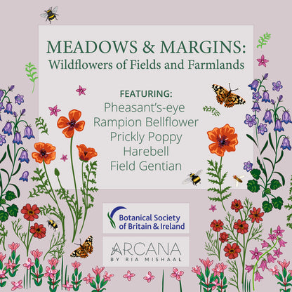 Meadows &amp; Margins &
