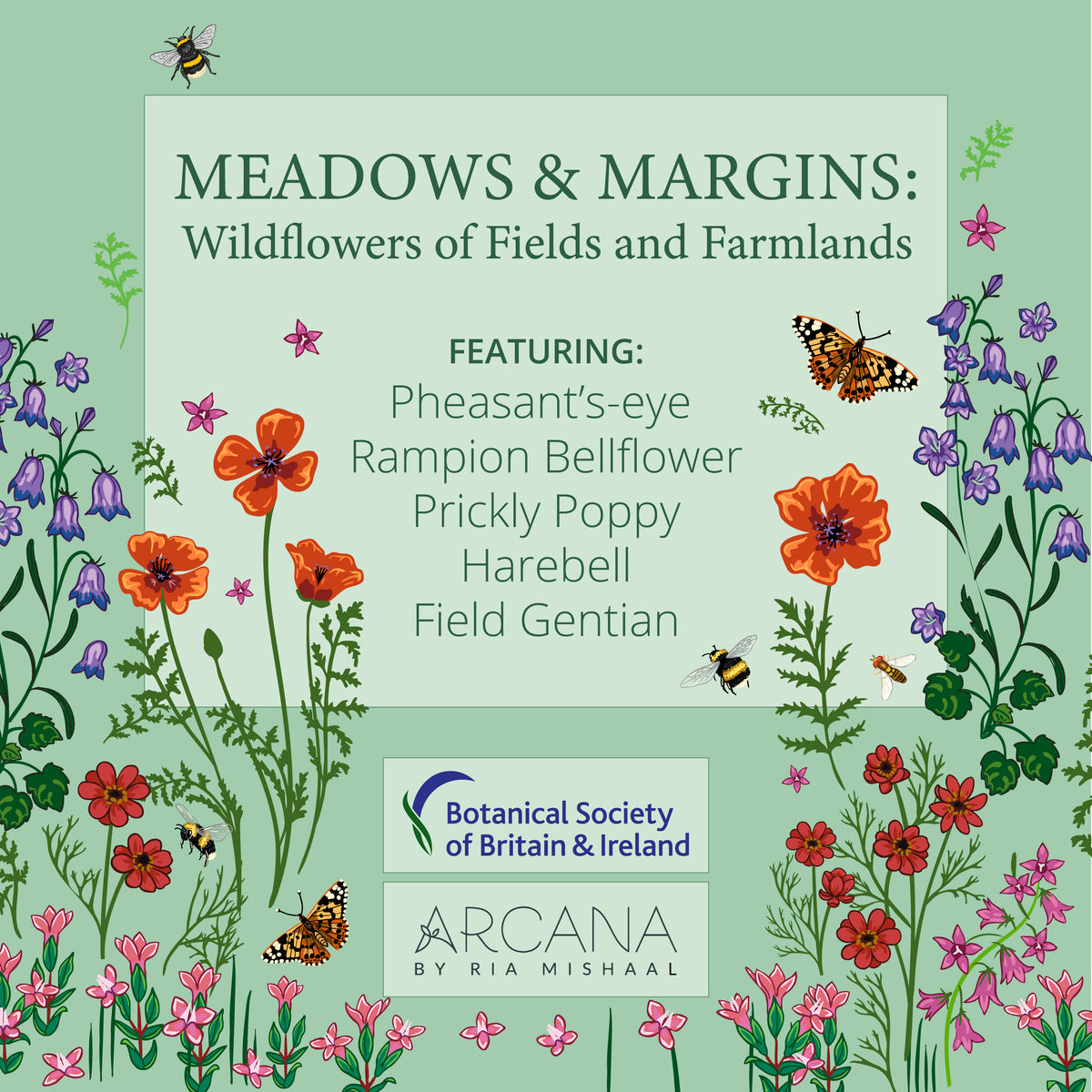 Meadows &amp; Margins &