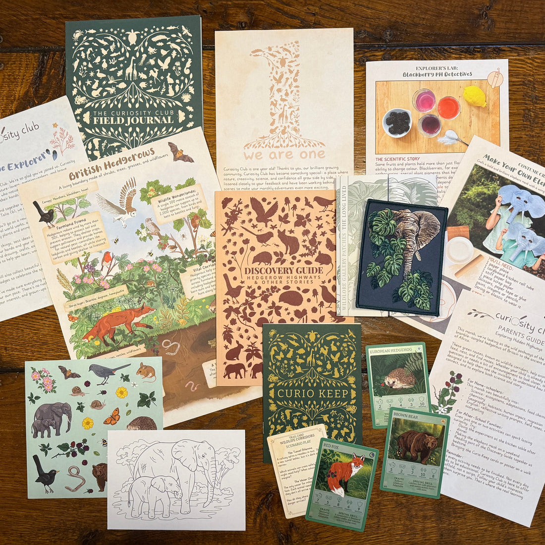 ‘Hedgerow Highways’ Box - Curiosity Club