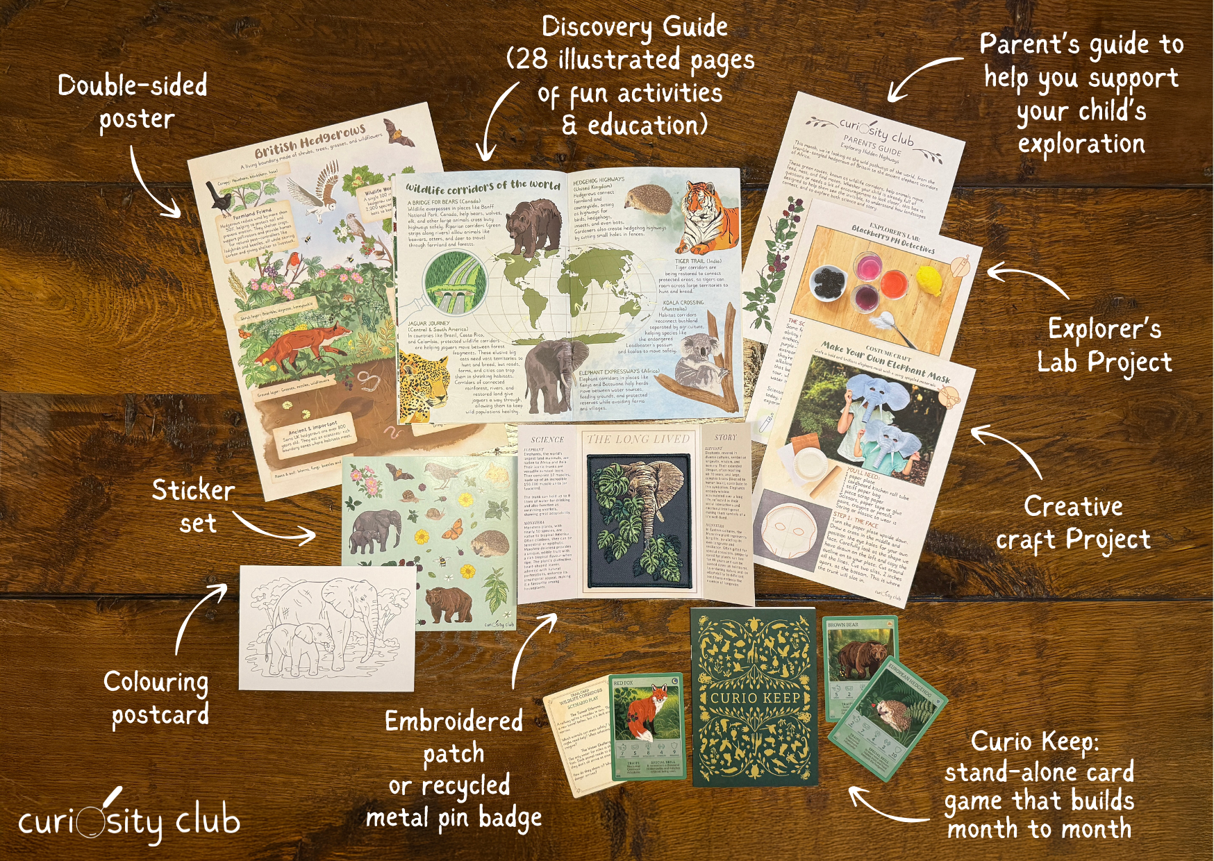 ‘Hedgerow Highways’ Box - Curiosity Club
