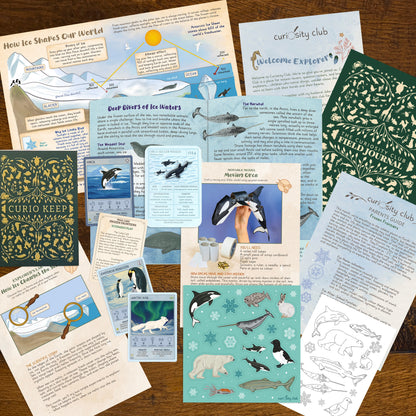 ‘Frozen Frontiers’ - Curiosity Club (Year 2)