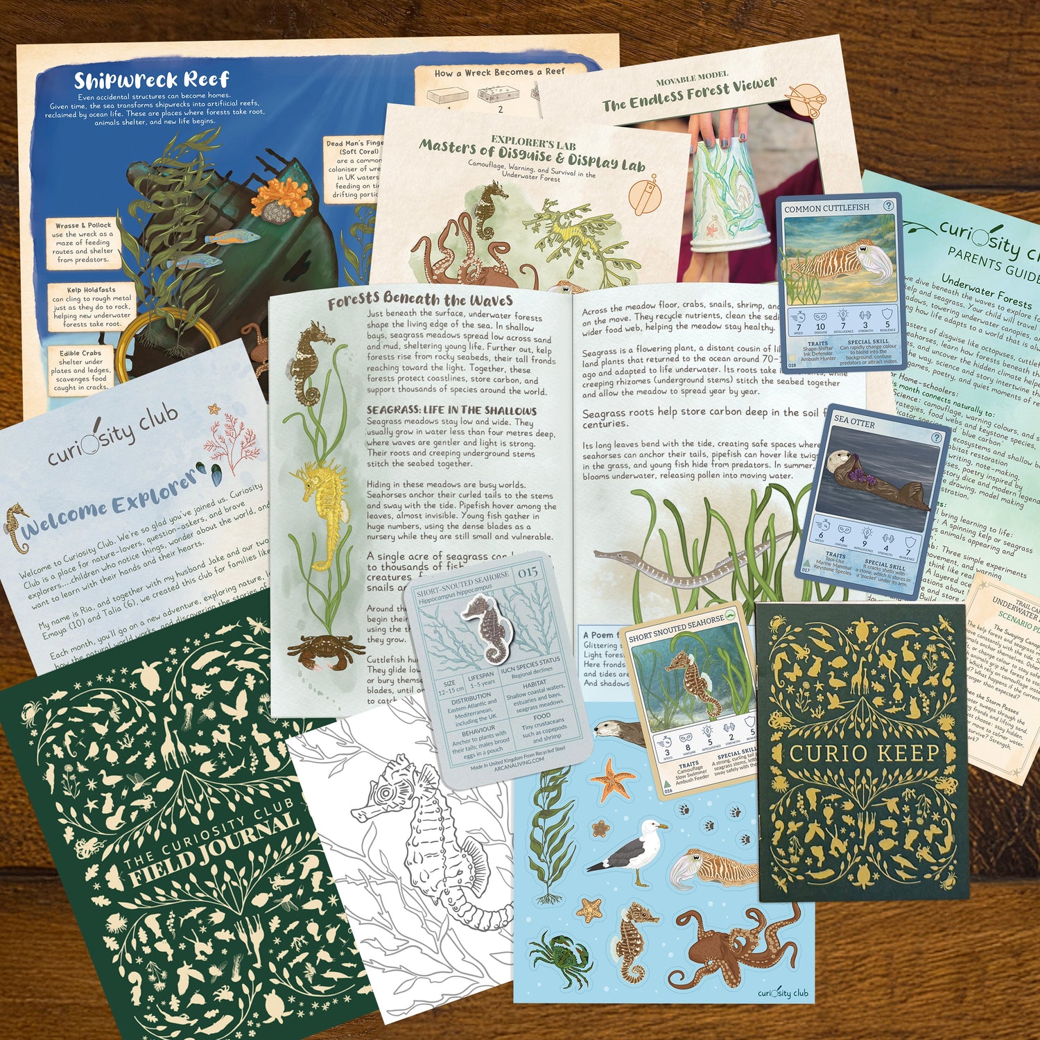 ‘Underwater Forests’ - Curiosity Club (Year 2)