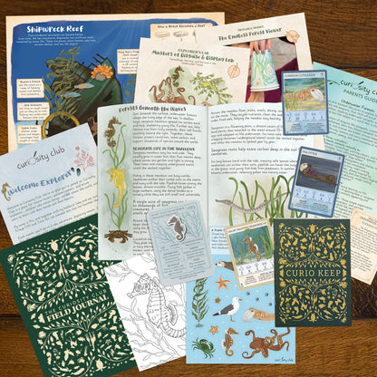 ‘Underwater Forests’ - Curiosity Club (Year 2)