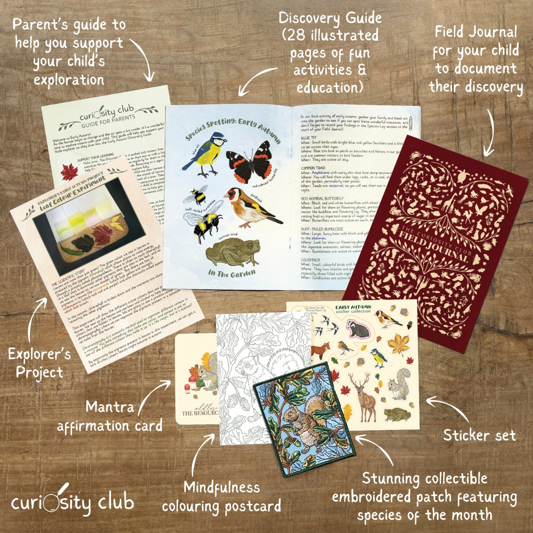 Early Autumn Box - Curiosity Club