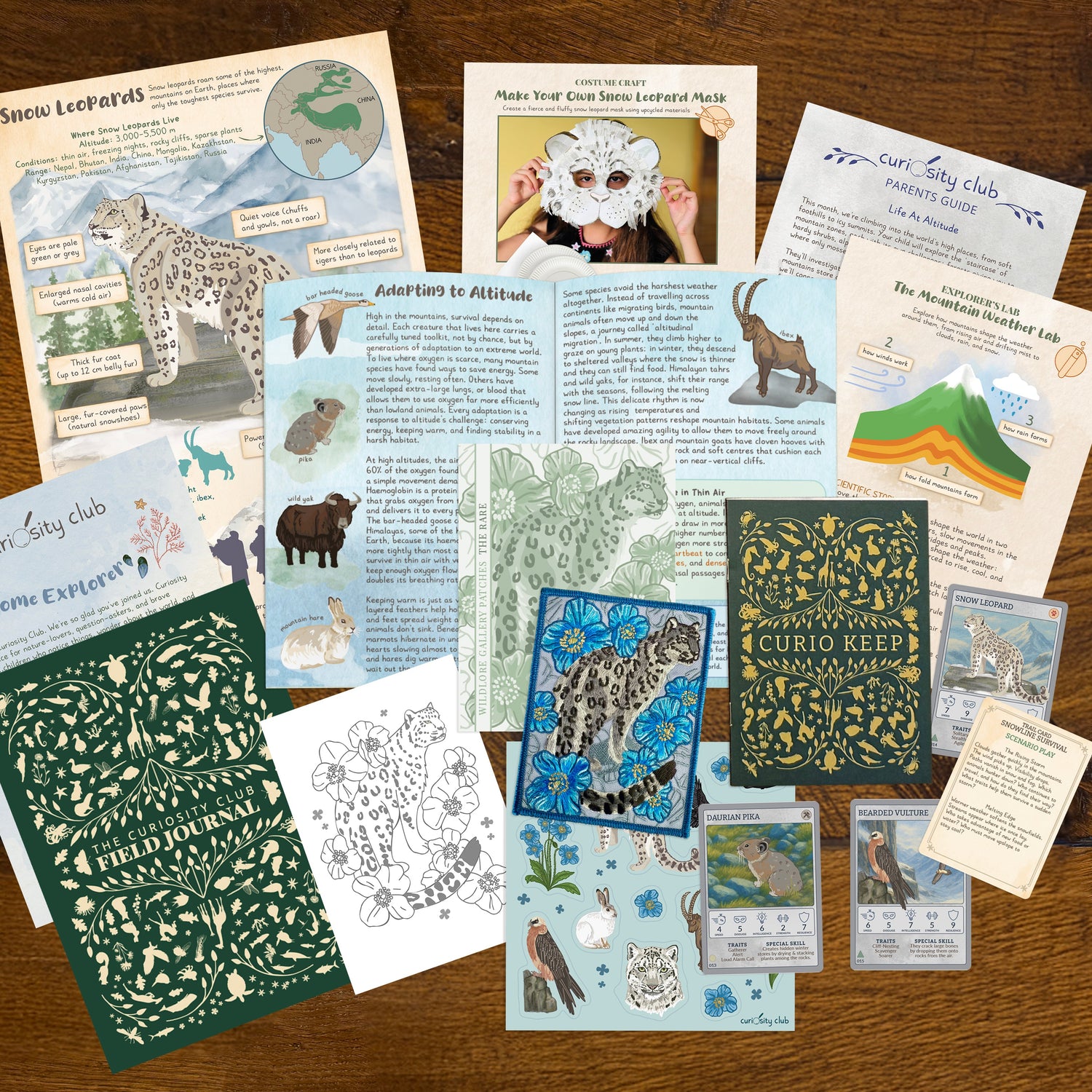 ‘Life At Altitude’ - Curiosity Club (Year 2)