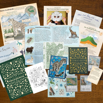 ‘Life At Altitude’ - Curiosity Club (Year 2)