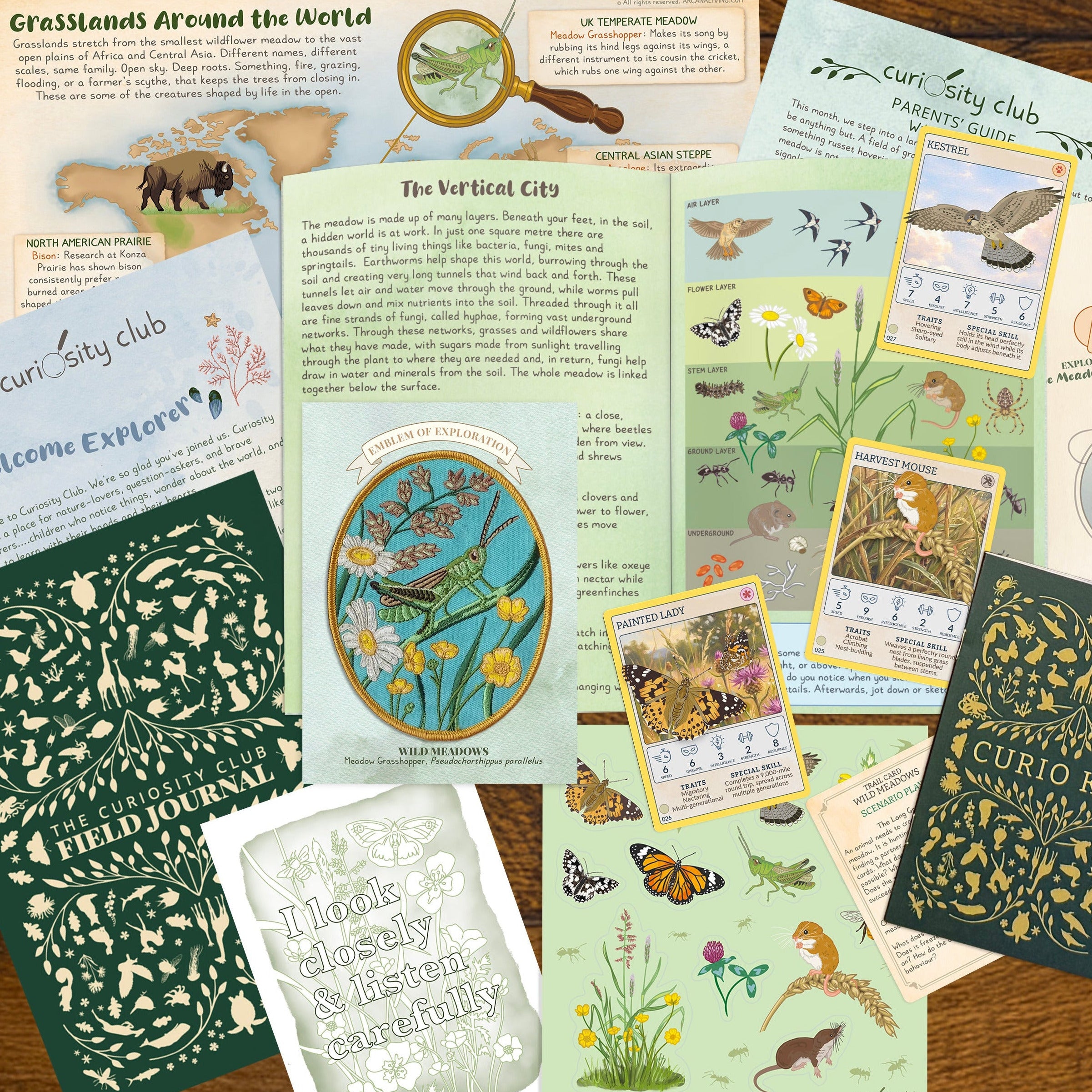 ‘Wild Meadows&