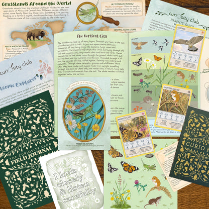 ‘Wild Meadows&