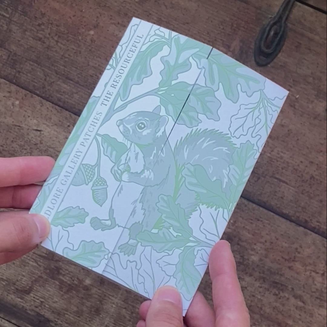 Early Autumn Box - Curiosity Club
