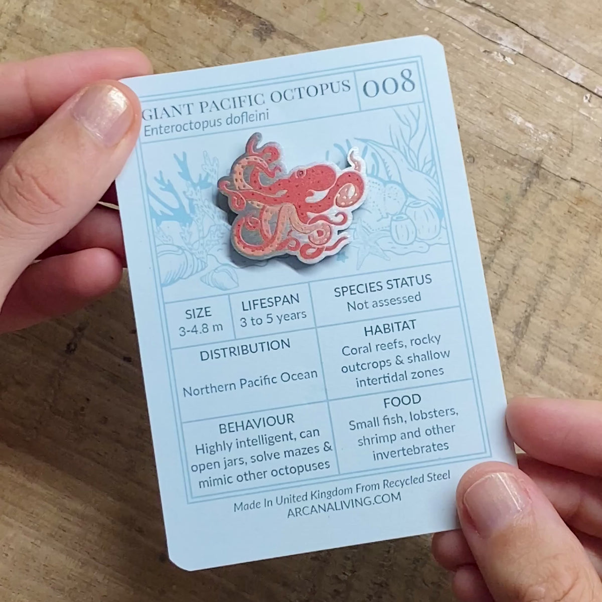 Giant Pacific Octopus Biodiversity Badge