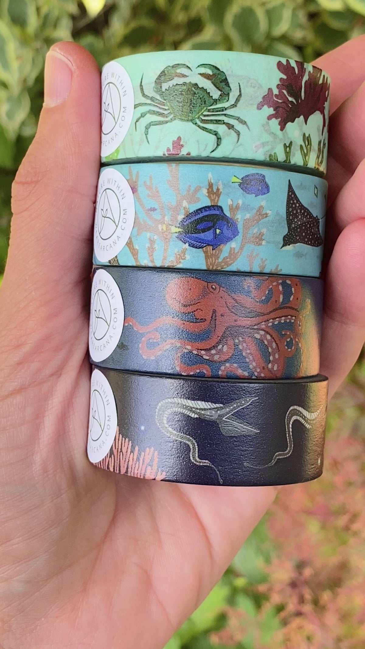 Ocean Zones Washi Tape Set