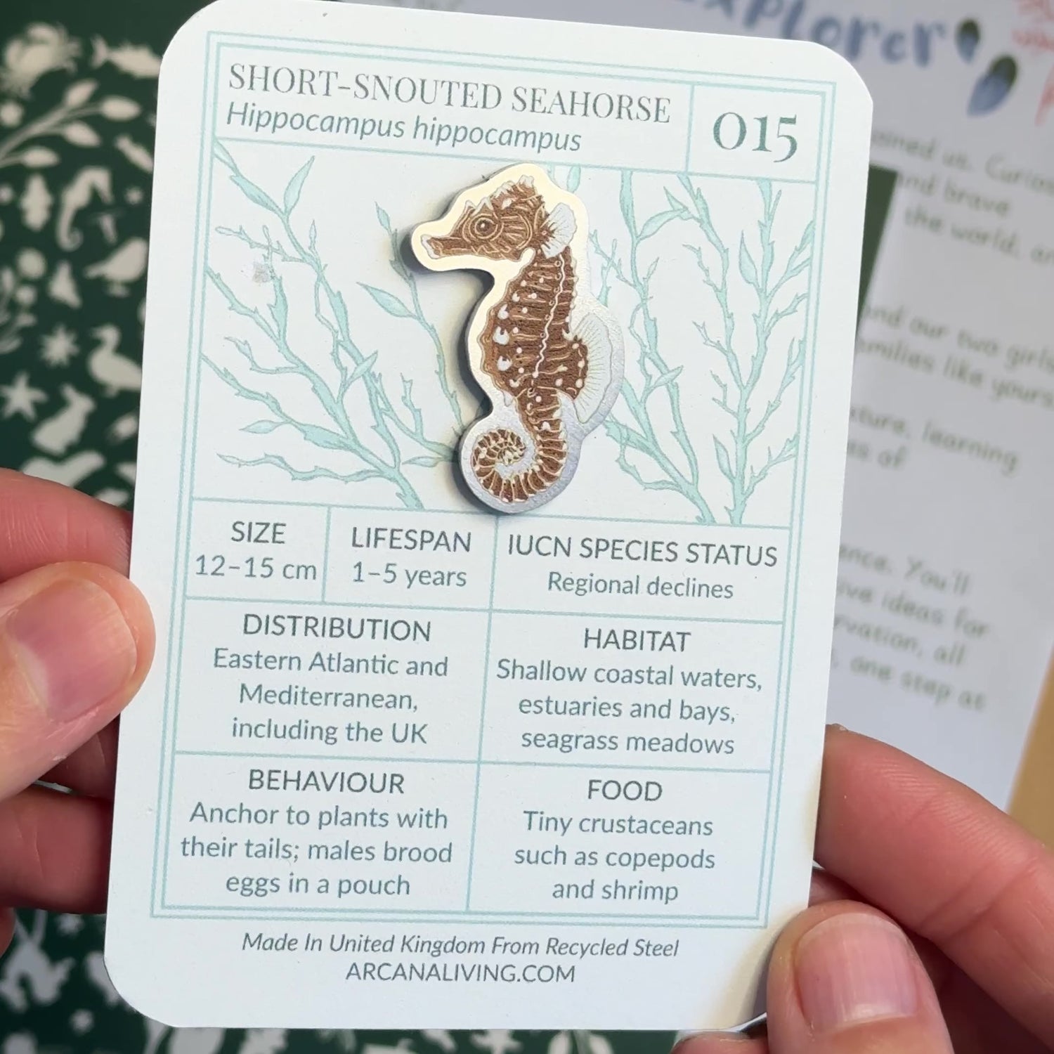 ‘Underwater Forests’ - Curiosity Club (Year 2)