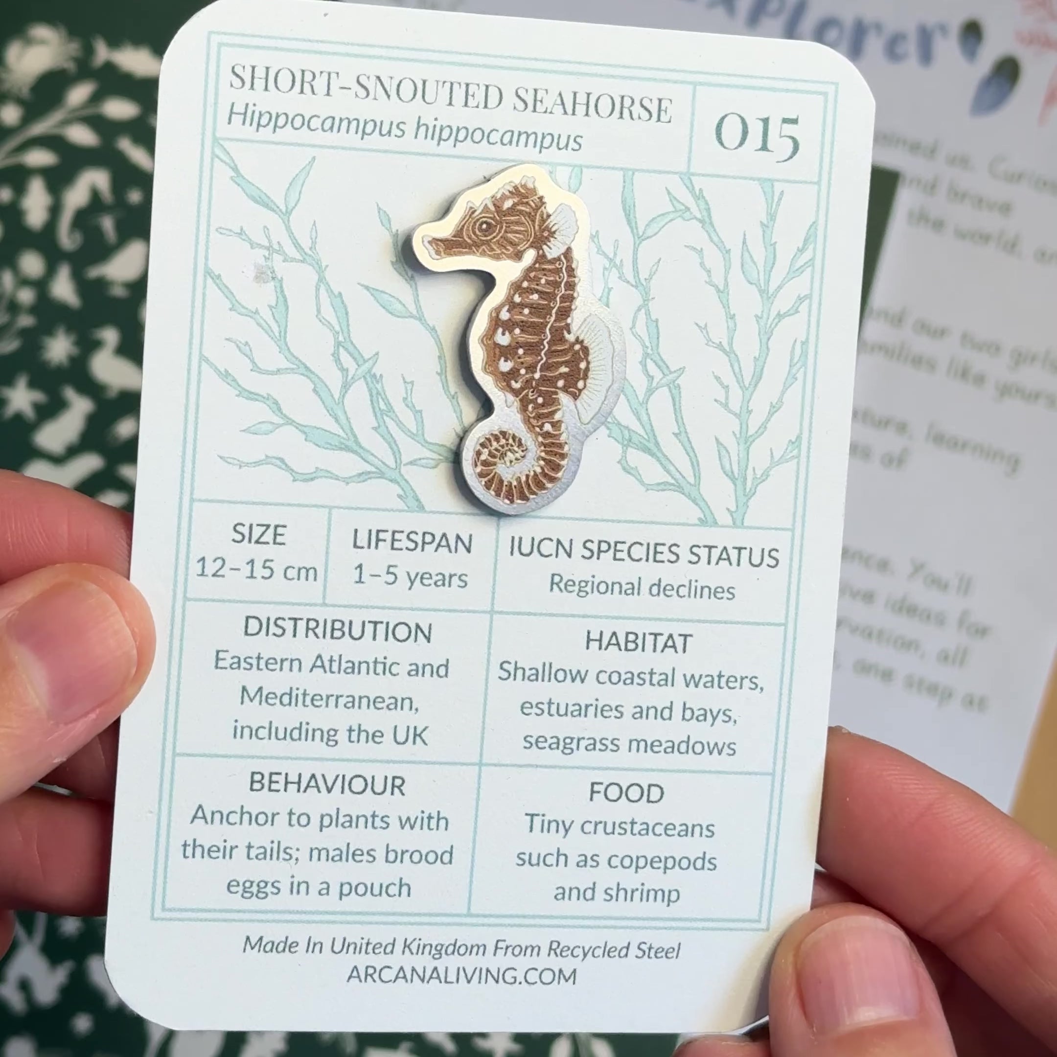 ‘Underwater Forests’ - Curiosity Club (Year 2)