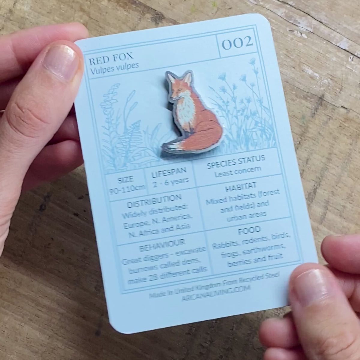 Forest Friends Pin Biodiversity Badge Set