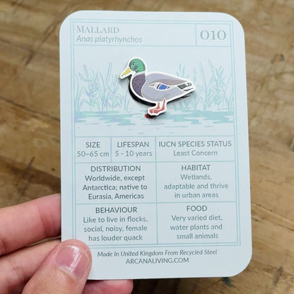 Mallard Duck Biodiversity Badge